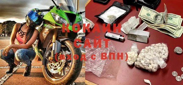 молекула духа Гусев