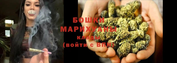 гидропоника Гусь-Хрустальный