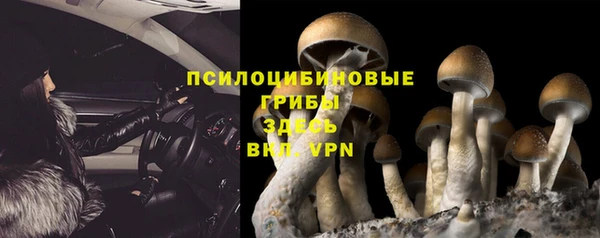 молекула духа Гусев