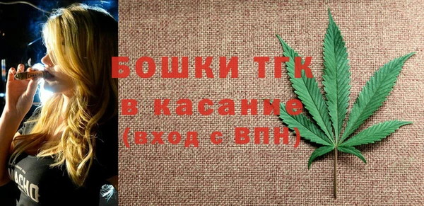 гидропоника Гусь-Хрустальный