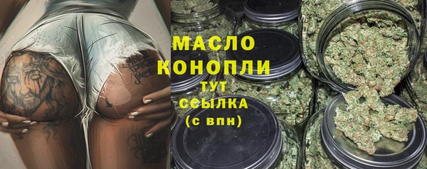 молекула духа Гусев