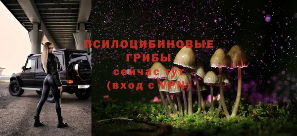 гидропоника Гусь-Хрустальный