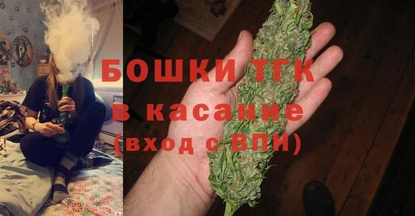 молекула духа Гусев